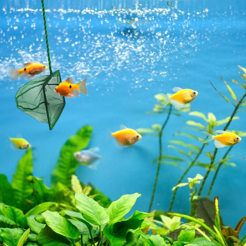 Akvaryum Balık Kepçesi 7.5 Cm. - 1