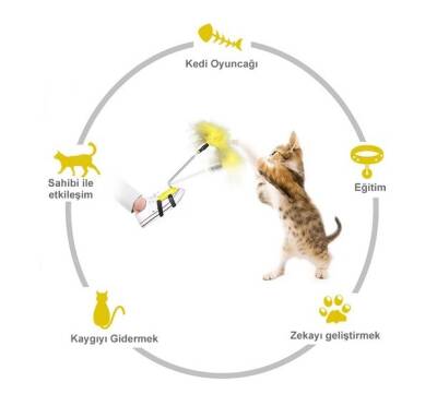 Ayağa Takılan Kedi Oyun Oltası (1)