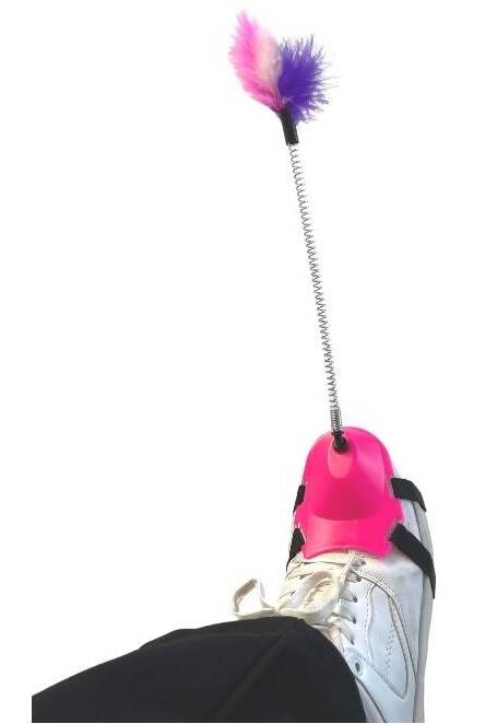 Ayağa Takılan Kedi Oyun Oltası - 4