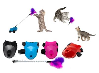 Ayağa Takılan Kedi Oyun Oltası - 5