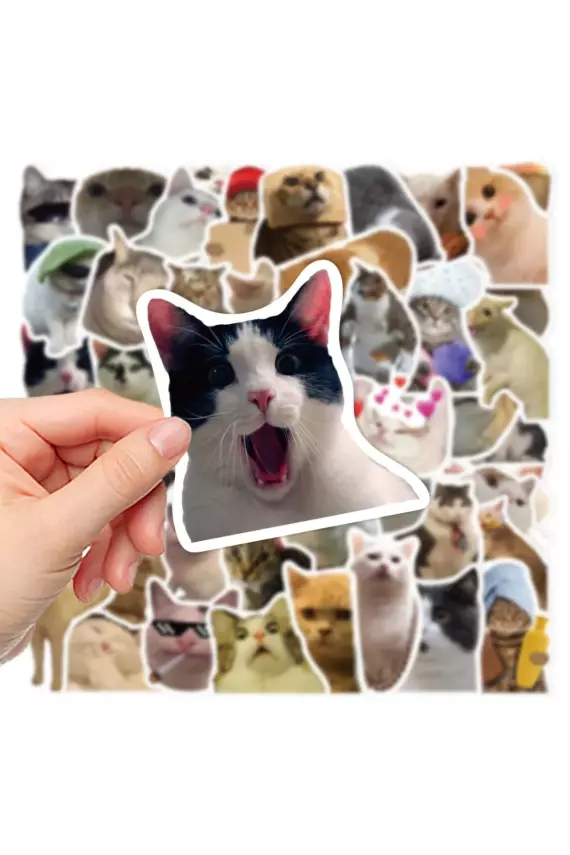 Çılgın Kediler Macbook Notebook Tablet Telefon Ajanda Laptop Defter Sticker Seti - 1