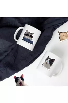 Çılgın Kediler Macbook Notebook Tablet Telefon Ajanda Laptop Defter Sticker Seti - 3