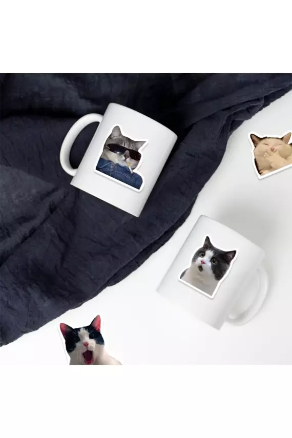 Çılgın Kediler Macbook Notebook Tablet Telefon Ajanda Laptop Defter Sticker Seti - 3