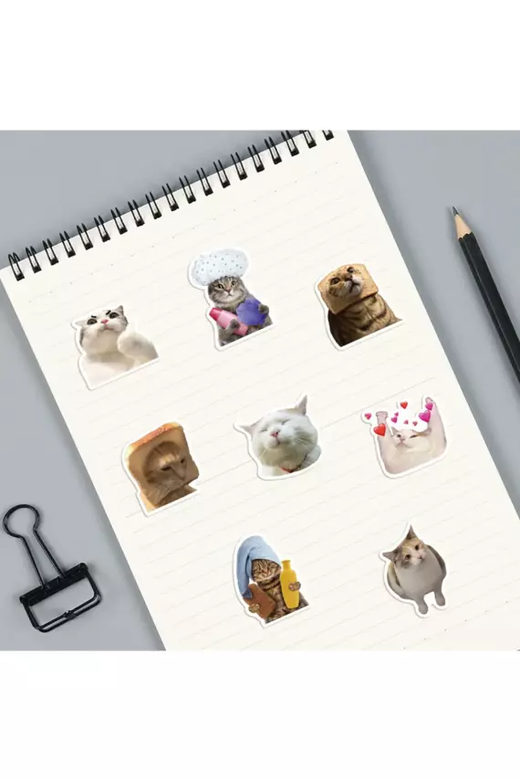 Çılgın Kediler Macbook Notebook Tablet Telefon Ajanda Laptop Defter Sticker Seti - 4