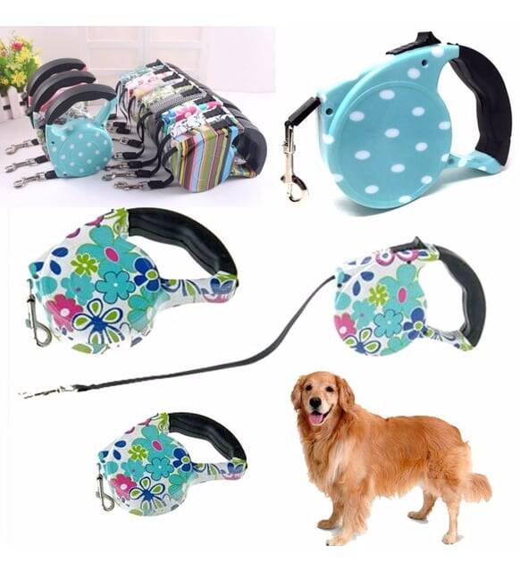 Desenli Köpek Tasması - Pup Style - 1