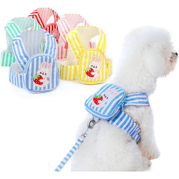 Evcil Hayvan Çantalı Göğüs Gezdirme Tasması Seti - 1