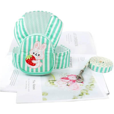 Evcil Hayvan Çantalı Göğüs Gezdirme Tasması Seti (1)