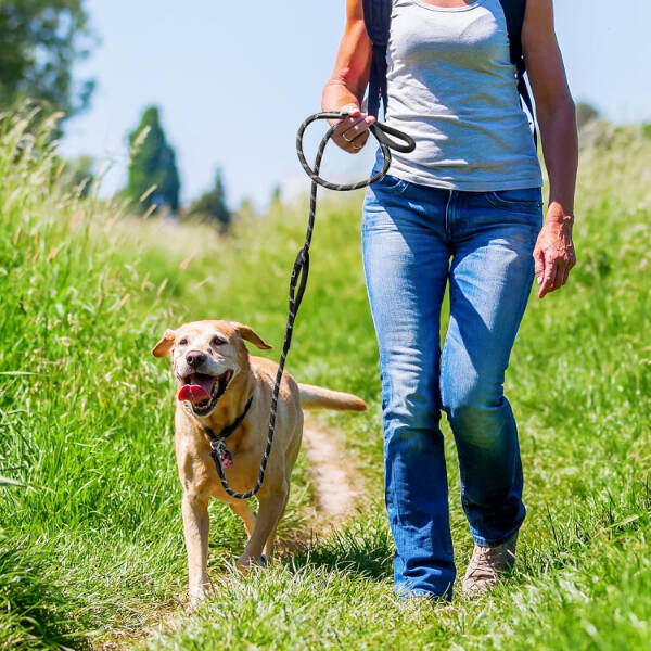 Evcil Hayvan Fitil Gezdirme Tasması 8 mm x 120 cm - 2