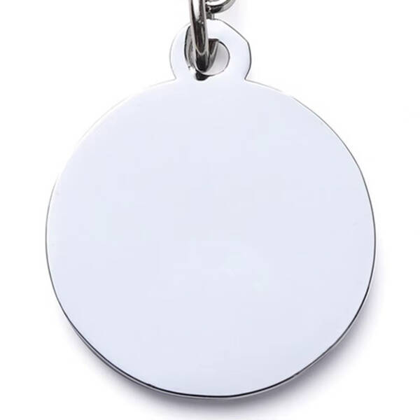 Evcil Hayvan Klipsli Tasma Künyesi - 3