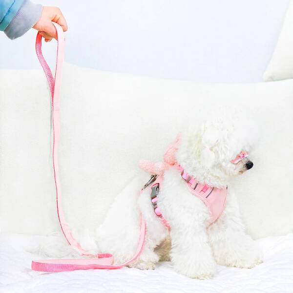 Evcil Hayvan Peluş Ayıcıklı Göğüs Gezdirme Tasması Set - 4