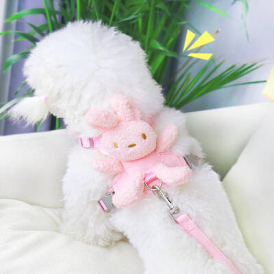 Evcil Hayvan Peluş Ayıcıklı Göğüs Gezdirme Tasması Set - 5