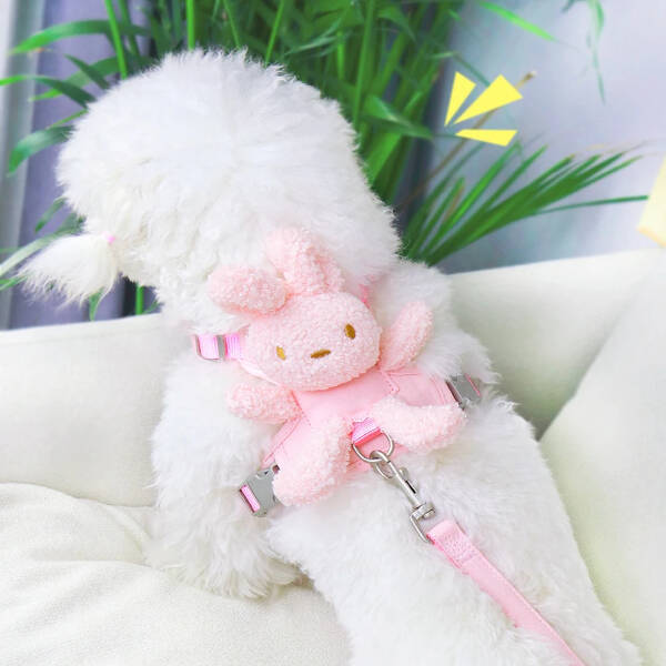 Evcil Hayvan Peluş Ayıcıklı Göğüs Gezdirme Tasması Set - 5