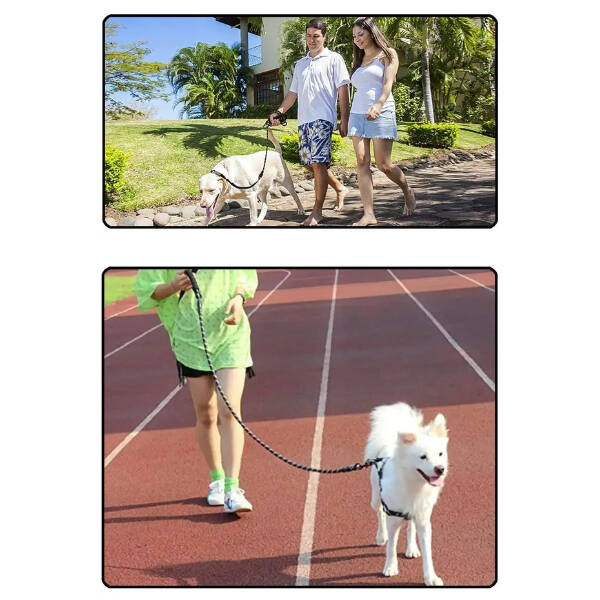 Evcil Hayvan Reflektörlü Fitil Gezdirme Tasması 10 mm x 120 cm - 3