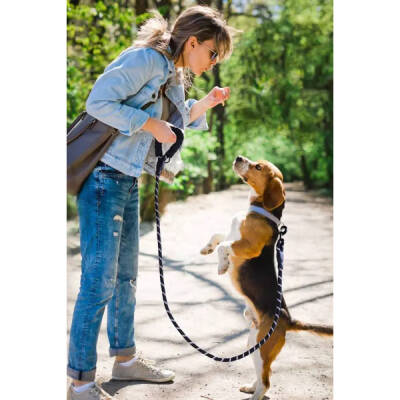 Evcil Hayvan Reflektörlü Fitil Gezdirme Tasması 10 mm x 120 cm - 4