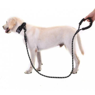 Evcil Hayvan Reflektörlü Fitil Gezdirme Tasması 12 mm x 120 cm (1)