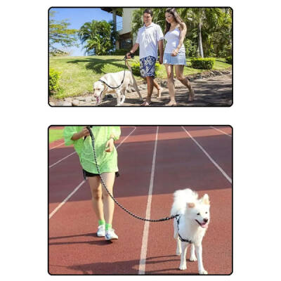 Evcil Hayvan Reflektörlü Fitil Gezdirme Tasması 8 mm x 120 cm (1)