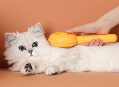 Hamburger Şekilli Otomatik Temizlenen Evcil Hayvan Tarağı - 3