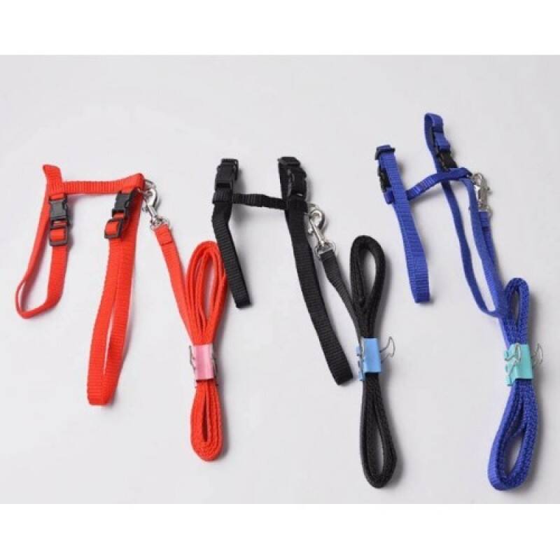 Kedi Boyun ve Göğüs Tasması - 4