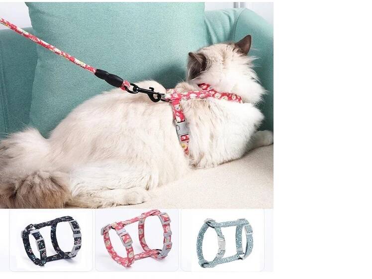 Kedi Gezdirme Göğüs Tasması - 1