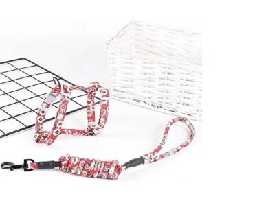 Kedi Gezdirme Göğüs Tasması (1)