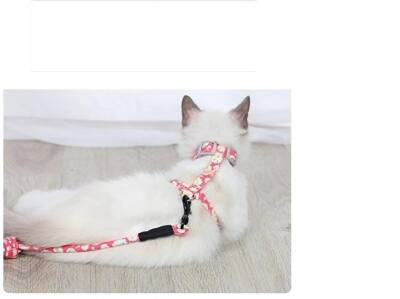 Kedi Gezdirme Göğüs Tasması - 3