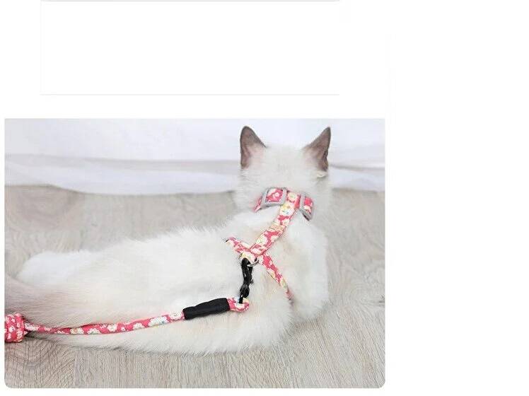 Kedi Gezdirme Göğüs Tasması - 3