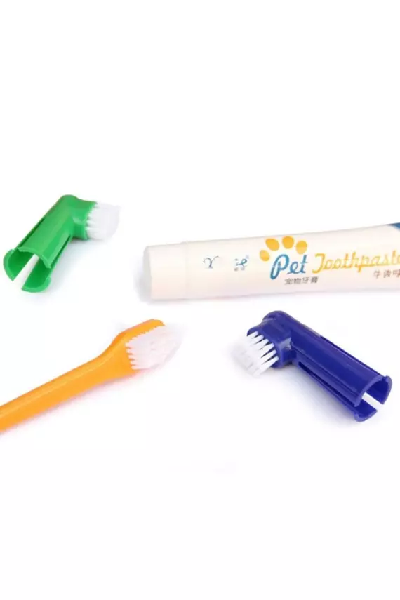Köpek Ağız Bakım Seti - 5