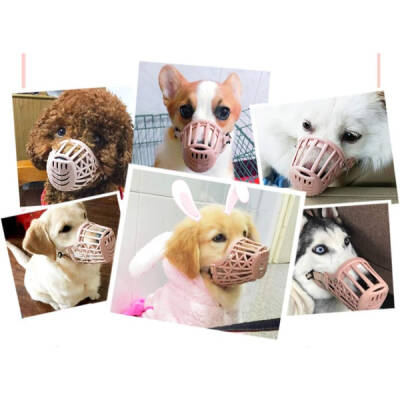 Köpek Koruma Ağızlığı 7'li Set (1)