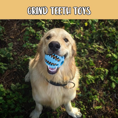 Mama Hazneli Köpek Eğitim Ve Oyun Topu (1)