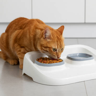 Mikopet Gri 2'si 1 Arada Mama Ve Su Kabı (1)