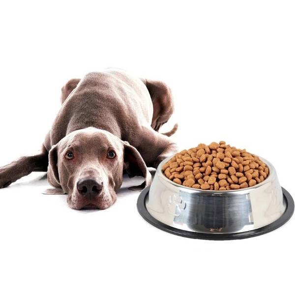 Paslanmaz Çelik Metal Mama Kabı 30 cm. - 1