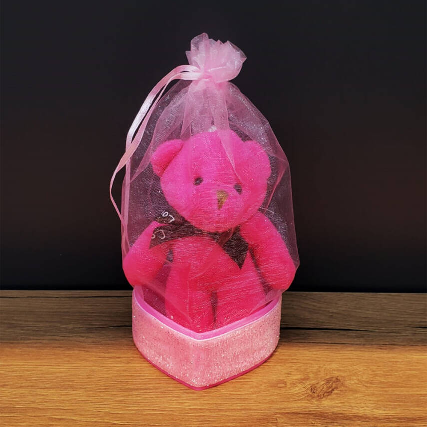 Pembe Hediyelik Kese İçinde Ayıcık - 1