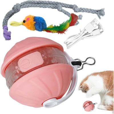 Şarjlı Hareketli Kedi Topu Oyuncak - 3