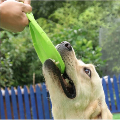 Silikon Frizbi Köpek Oyuncağı (1)