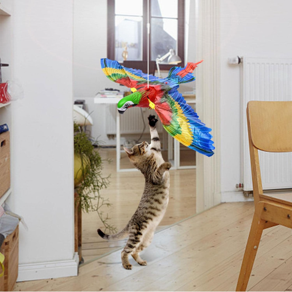 Uçan Papağan Kedi Oyuncağı - 1