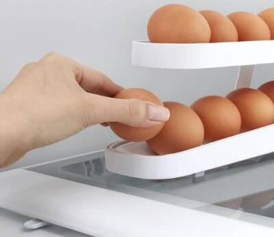 Yeni Nesil Yumurta Standı (1)